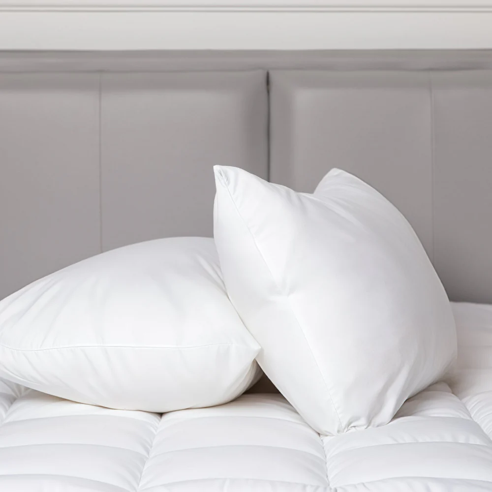 100% Cotton Pillow with 800g Microfibre Fill | 2 Pack - Image 6