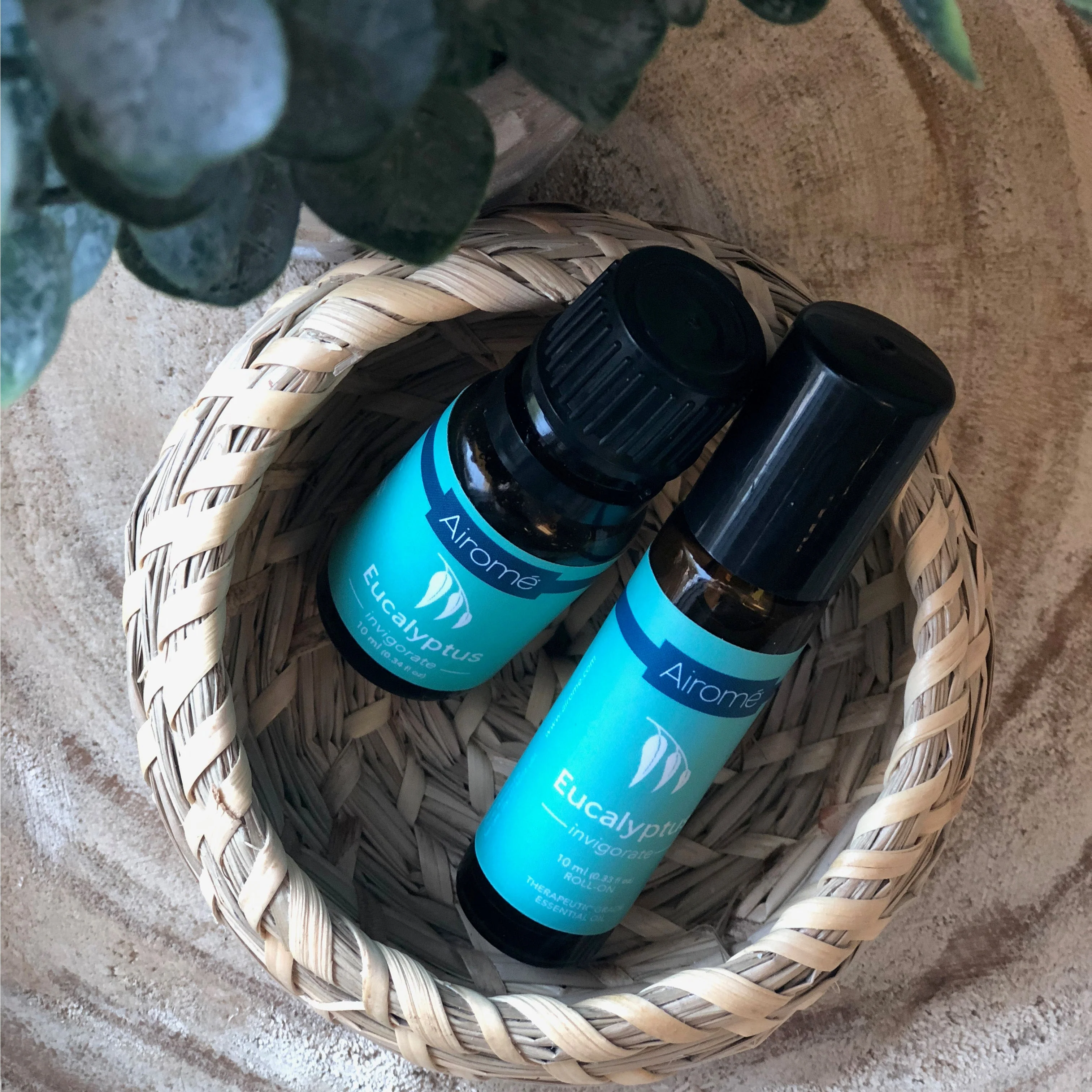 Eucalyptus Essential Oil - Image 3