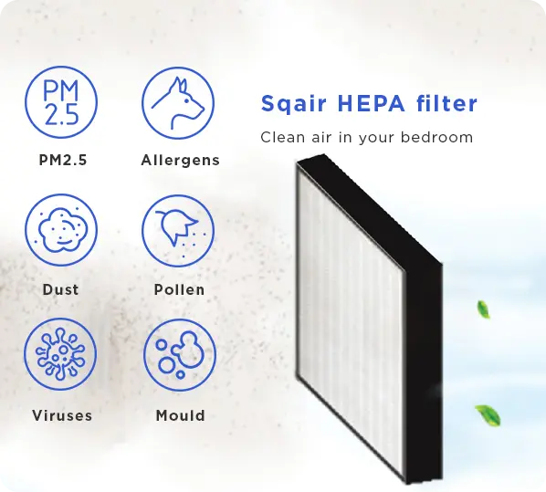 Clean Air Bundle | Bedrooms & Living Rooms - Image 3