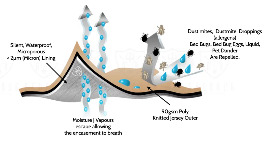 Waterproof Dust Mite Pillow Protector & Encasement | Standard/Queen | AU - Image 6
